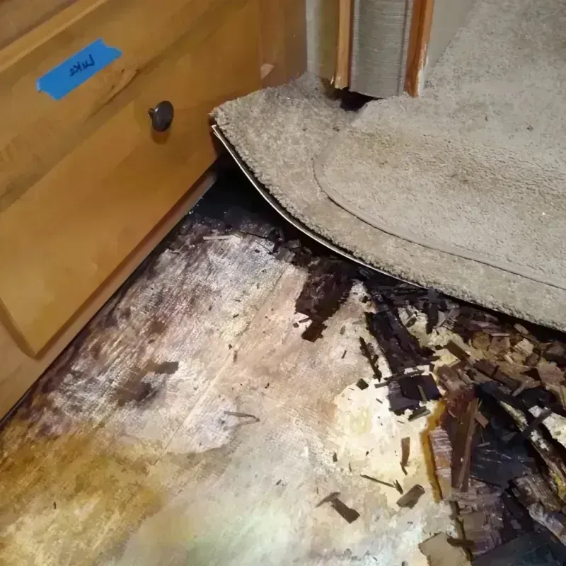 Best Wood Floor Water Damage Service in Hoover, AL